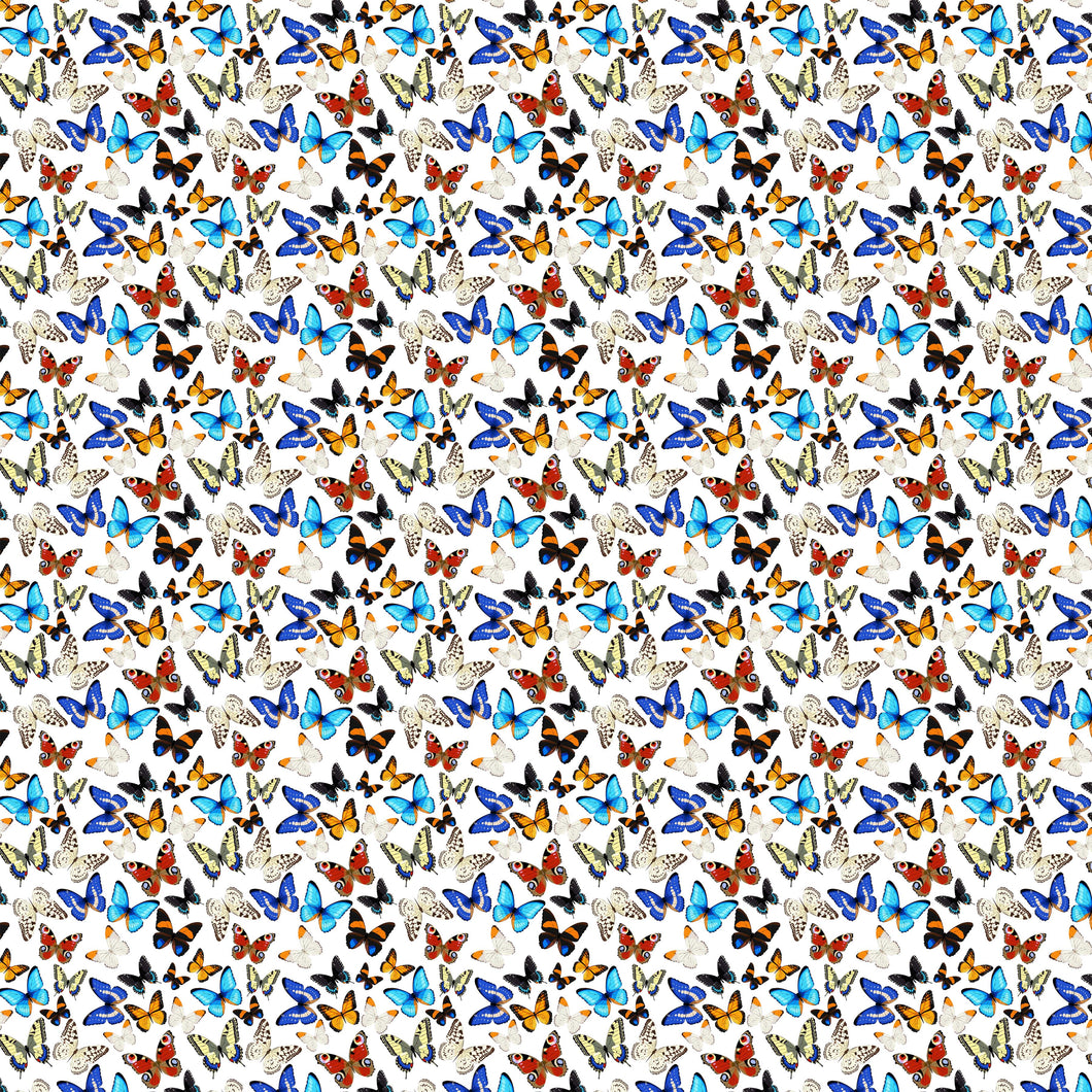 Butterflies Multi White Decal Pattern 12