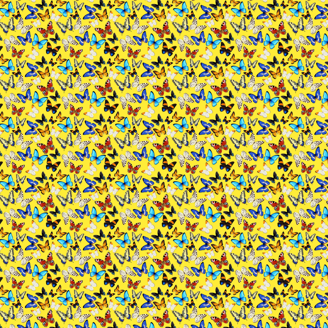 Butterflies Multi Yellow Decal Pattern 12