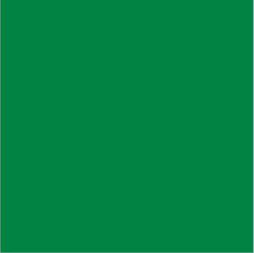Green Solid Htv 12 X 19.5 Sheet