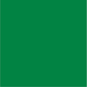 Green Solid Htv 12 X 19.5 Sheet