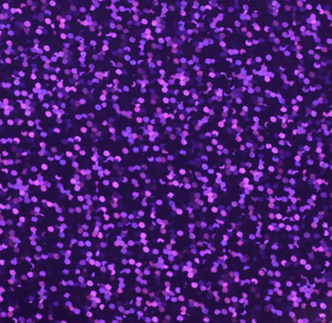 Purple Hologram Htv 12 X 19.5 Sheet Hologram Htv
