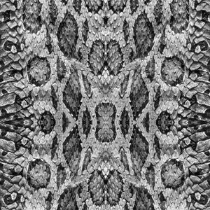 Snake Skin Black Gray Pattern Decal 12" x 12" Sheet Waterproof - Gloss Finish