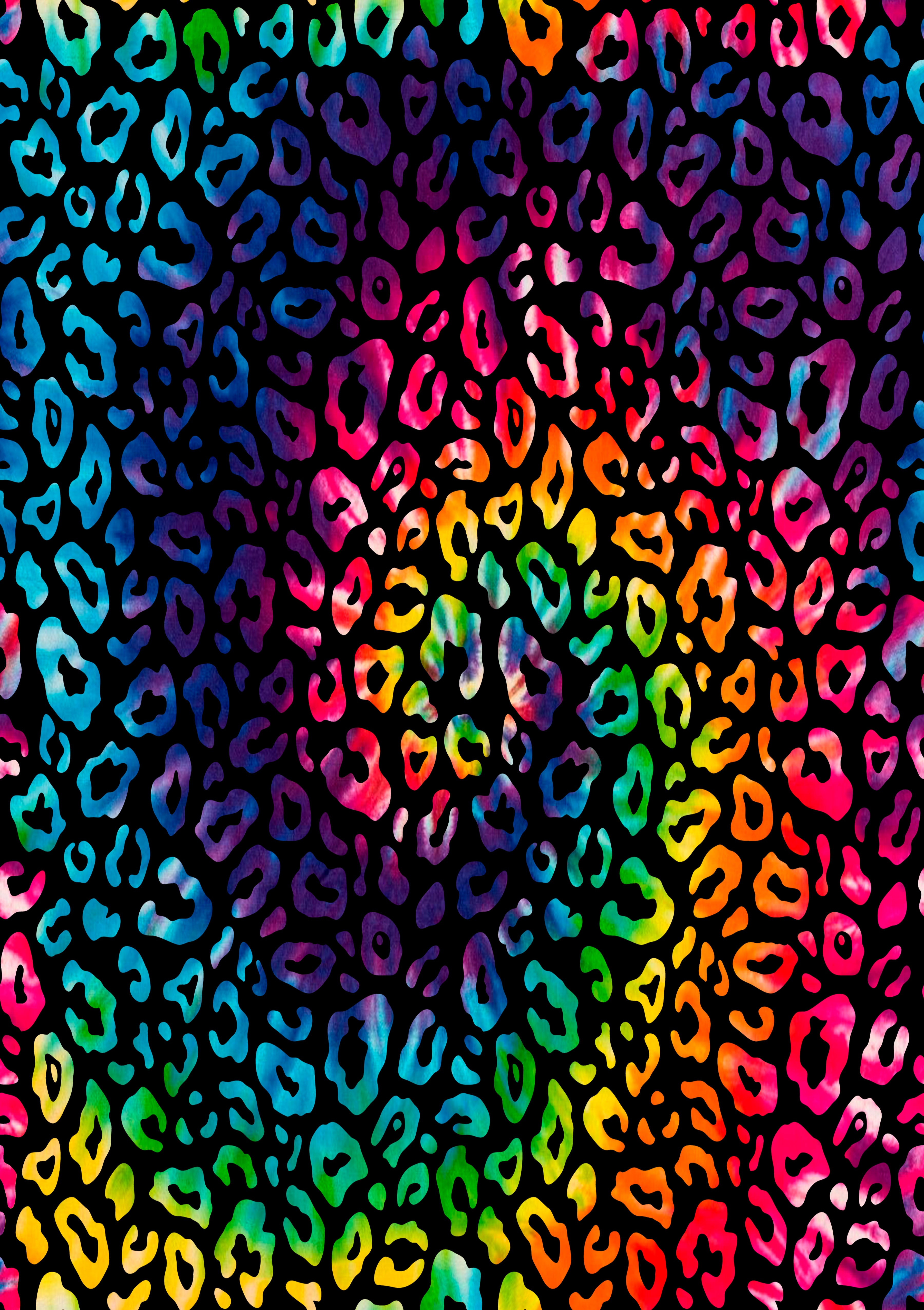 6 in. Rainbow Cheetah Print Ball - Pack of 12
