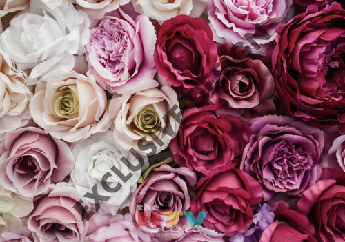 Ombre Roses Pink Large Photo Htv 12 X 17