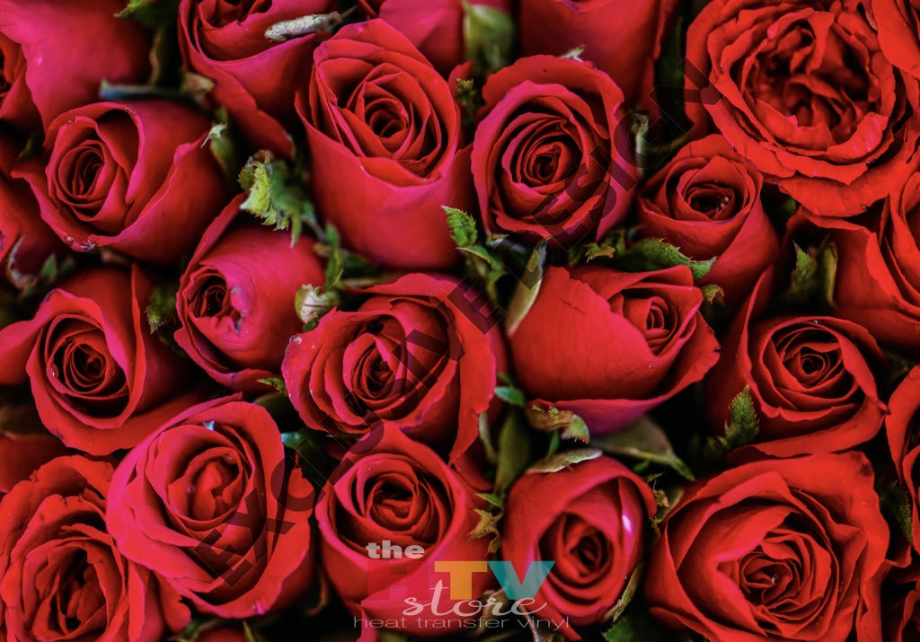 Red Roses Large Photo Htv 12 X 17